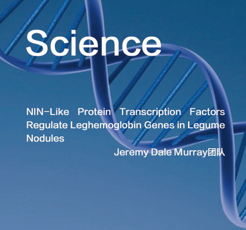 祝賀Jeremy Dale Murray團(tuán)隊(duì)佳作榮登Science期刊！